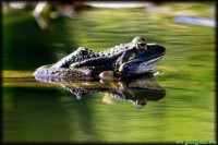 /album/termeszetfotok/duplabeka-2-jpg/